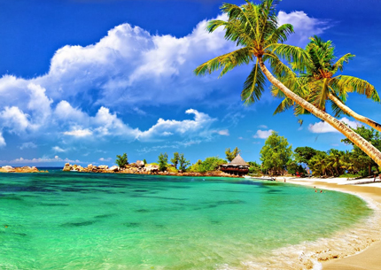 Apply for your visa today