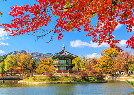  Get your visa with no delays