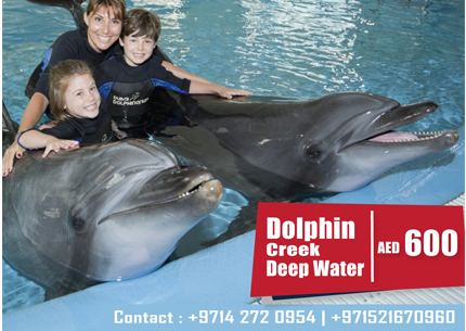 Dolphin creek Deep Water