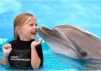 Play with Dolphin