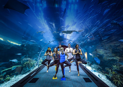 Amazing Under water Zoo